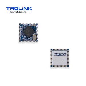 2.4G Realtek WiFi Module RTL8723DS Main Chipset with SDIO Interface and Support 802.11b/g/n WiFi Standard