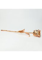 Echte natuurlijke roos met 24K gouden afwerking, vergulde gouden roos, luxe cadeau, decoratieve bloem, Valentijnsdag, huwelijksjubileum cadeau