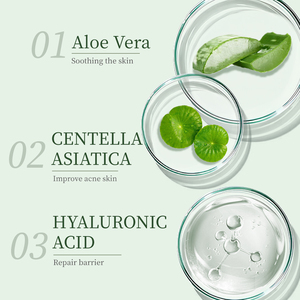 Ensemble de soins de la peau à l'aloe vera naturel coréen OEM <span class=keywords><strong>Lotion</strong></span> et toner à l'extrait d'aloe vera hydratant et apaisant <span class=keywords><strong>pour</strong></span> produits <span class=keywords><strong>pour</strong></span> le <span class=keywords><strong>visage</strong></span> - Product Image 2