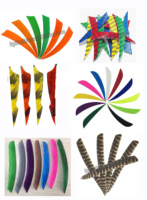 Plumes de dindon naturelles pour flèches de tir à l'arc, barrettes de plumes pour le montage DIY, accessoires pour la chasse et le tir sur cible