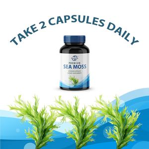 Capsules d'extrait d'algues marines OEM ODM, soutien à la santé des articulations, soutien digestif, végétalien, sans OGM, soutien du système immunitaire, sans gluten - Product Image 4