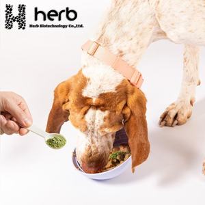 Complément pour chiens pour les hanches et les articulations, marque privée OEM/ODM - Friandises à mâcher souples sans céréales à absorption rapide pour les hanches et les articulations - Product Image 4