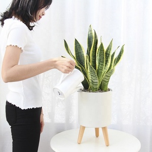 Maceta Decorativa Blanca de Plástico, Maceta Inteligente con Función de Alarma por Escasez de Agua para Jardín Interior Inteligente - Product Image 2