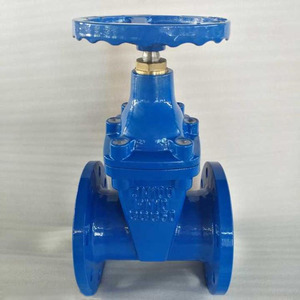 Válvula de Compuerta de Hierro Fundido con Asiento Resiliente DIN PN10 PN16 y Vástago Fijo para Agua y Petróleo - Product Image 6