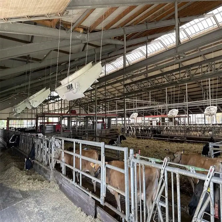 Casa lechera prefabricada estructura de acero edificio de granja de vacas con equipo relativo