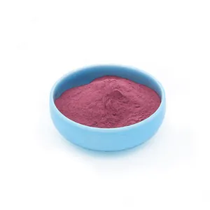 Natural Acai Freeze Dried Powder With Rich 5% Vitamin C Brazil Acai Berry Powder Acai Berry Juice Concentrate Powder