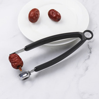 Handmatige, roestvrijstalen fruitpitter, knijpmodel, roestbestendig, voor kersen, olijven, jujubes, handzaam keukengereedschap
