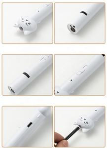 Pabrik Harga terbaik multi-fungsi 5 jenis pola mainan kucing tongkat penggoda bulu lampu Laser kombo - Product Image 5