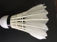 Volant à Air en plumes d'oie, bon Badminton pour l'entraînement à l'intérieur et à l'extérieur