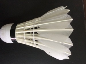 Volant à <span class=keywords><strong>Air</strong></span> en plumes d'oie, bon <span class=keywords><strong>Badminton</strong></span> pour l'entraînement à l'intérieur et à l'extérieur - Product Image 6