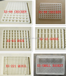 Vassoio per uova in plastica, - Product Image 2