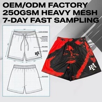 Professional Basketball Shorts Manufacturer 250GSM Double Layer Mesh Custom Brand Logo Private Label High-End Gym Sports Wear