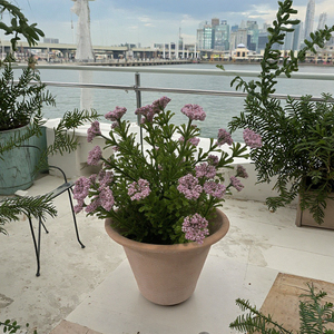 H16cm màu hồng hoa bầu trời đầy sao mô phỏng <span class=keywords><strong>Bonsai</strong></span> thủ công cây nhân tạo cho trong nhà ngoài trời trang trí nội thất giáng sinh tốt nghiệp - Product Image 5