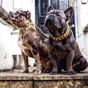 Collar de perro de lujo al por mayor 2024, correa de acero inoxidable 316l de alta calidad, mango de cuero de Metal dorado <span class=keywords><strong>Floral</strong></span>, diseñador de cadena cubana - Product Image 5