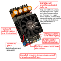 WUZHI ses 3002 saf sonrası sahne dijital hoparlör amplifikatör modülü kurulu ses modülü TPA3255 Stereo 300WX2 köprü Mono 600W