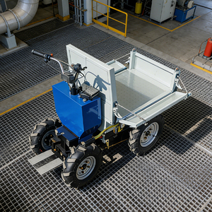 EPA-gecertificeerde <span class=keywords><strong>mini</strong></span>-rupsdumper en rupsmini-dumper Minero van 500 kg. Voor zwaar werk met een <span class=keywords><strong>Chinese</strong></span> minidumper - Product Image 1