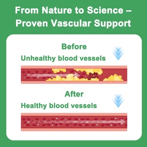 Thé <span class=keywords><strong>Vitalit</strong></span>é Circulation Sanguine - Infusion Santé Coeur Et Vaisseaux Thé Vert Bio Detox Minceur Ventre Plat En Sachets - Product Image 5