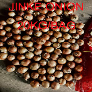 Органические цельнокорневые и листовые вяленые хлопья лука сладкие чистые ароматизированные объемные зеленые овощи для выпечки, похожие на порошок - Product Image 2