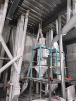 Moulin à farine de blé électrique avec moteur et engrenage, haute capacité, 380V, usine de traitement de la farine, garantie de 2 ans