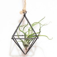 Bac à jardinage suspendu en fer forgé, support pour plantes, offre spéciale, support triangulaire, en métal, pour Pot de fleurs de jardin
