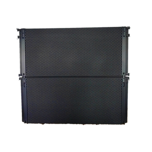 Système de sonorisation double 10 pouces <span class=keywords><strong>2</strong></span> voies compact néodyme professionnel Line <span class=keywords><strong>Array</strong></span> - Product Image 1