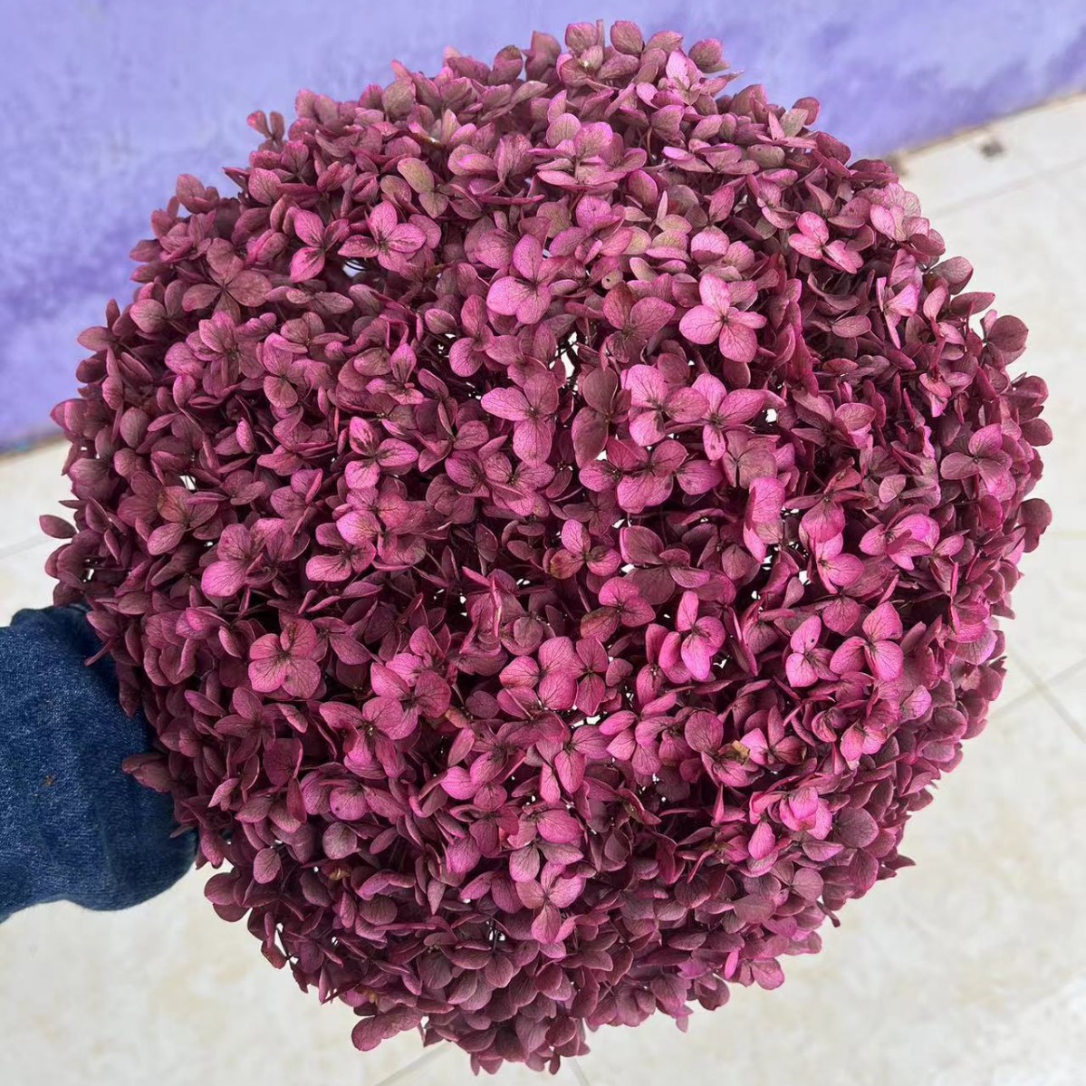 Rojo púrpura