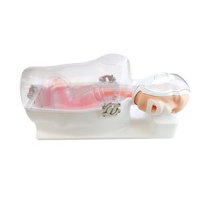 โมเดลฝึกการส่องกล้องตรวจกระเพาะอาหารแบบเต็มรูปแบบ Scalptek รุ่น C ES001-S3 |   ลำไส้ช่องปากส่วนบน<span class=keywords><strong>ที่</strong></span>สมบูรณ์แบบ |   การออกแบบที่ผสานเข้ากับร่างกาย |   ขั้นสูง - Product Image 1