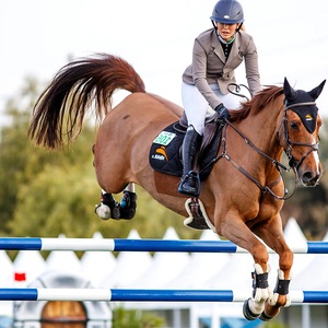 <span class=keywords><strong>Ostacoli</strong></span> Equestri Professionali per Allenamento Aochi Factory con Pali in PVC e Salti per Cavalli in Alluminio a Costo Contenuto - Product Image 5