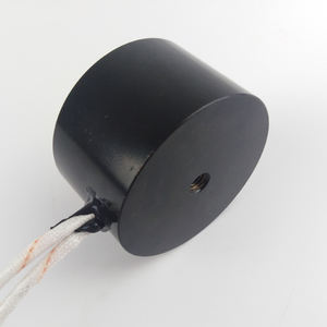 Fabriek Groothandelsprijs <span class=keywords><strong>2</strong></span> Inch Elektrische Magneet Houdende Kracht 50kgs/500n Dc <span class=keywords><strong>12V</strong></span> 24V Elektromagneet - Product Image 5