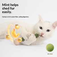 Mainan Kunyah Kucing Bentuk Bunga Kuda Poni Loofah Kartun untuk Membersihkan dan Mengasah Gigi Hewan Peliharaan Langsung dari Pabrik Sumber