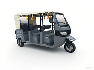 Nuevo Triciclo Eléctrico Changli, Otros Triciclos, Triciclos Eléctricos, Triciclo Eléctrico para Adultos - Product Image 3