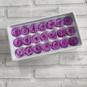 Rose éternelle conservée, 20 à 21 pièces, vente en gros, haute qualité, éternité, rose naturelle à toucher réel, conservée - Product Image 4