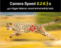 Caméra de surveillance BSTCAM 4K avec connexion Wi-Fi et contrôle par application, détection de mouvement PIR 20m/85ft pour la faune.
