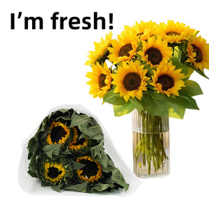 Fiori di Girasole Freschi all'Ingrosso, Stelo Robusto, Testa Grande, per Composizioni Floreali - Product Image 1