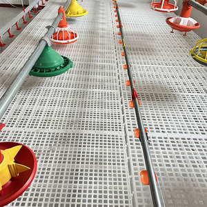 Pavimento in Plastica a Doghe per Polli, Anatre e Oche, Alta Capacità di Carico, per <span class=keywords><strong>Allevamenti</strong></span> - Product Image 6