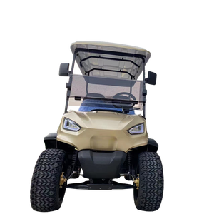 Voiturette de golf électrique 48V 4 places, buggy de golf personnalisé bon marché, vente en gros - Product Image 4