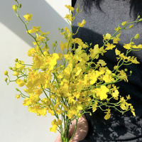 Orchidée Oncidium de Qualité Supérieure en Gros - Jaune Citron pour Arrangements Floraux, Décoration Fête des Mères et Saint-Valentin, Directement du Producteur, Chaîne du Froid