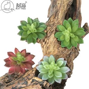 <span class=keywords><strong>Planta</strong></span> Suculenta Artificial <span class=keywords><strong>de</strong></span> <span class=keywords><strong>Echeveria</strong></span> Falsa al por Mayor <span class=keywords><strong>de</strong></span> Fábrica para Decoración - Product Image 6