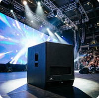Subwoofer actif 15 pouces DSP Classe D 1100W RMS avec caisson en bois, haut-parleur de basses amplifié pour mariage, bar, scène, spectacle en direct, événement