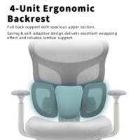 Chaise de bureau ergonomique à dossier haut avec appui-tête réglable, soutien lombaire, maille respirante, garantie 10 ans