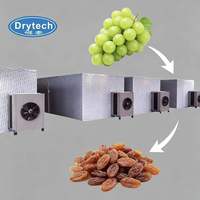Industriële lade-type dadelpalm droogmachine met PLC temperatuurregeling voor uniform drogen van verse dadels, geen scheuren.