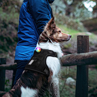 Lampes LED de sécurité pour chien personnalisées par l'usine UMIONE, pour la promenade nocturne, à clipser sur le collier, le harnais ou la laisse.