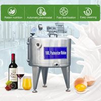 Mini pasteurisateur 200L pour jus de fruits et lait, machine de pasteurisation avec pompe automatique, haute précision, acier inoxydable
