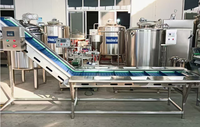 Ligne de production complète de pâte de tomate en sachet de 500 kg/h pour la transformation de la purée de tomate concentrée, de la pâte de tomate et de la confiture