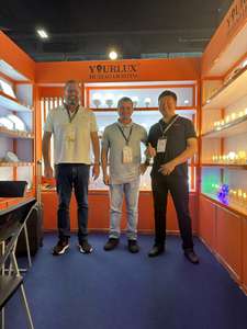 Mejor Venta de calefacción infrarroja 220V 230V J189 J254 60W 100W 300W 400W 500W 1000W 1500W J78 J118 lámpara halógena - Product Image 5