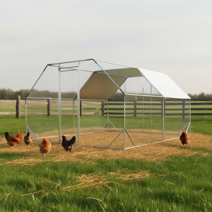 Poulailler D0100X3IVXJ 3m x 4m en métal galvanisé pour l'élevage de poulets - Product Image 2