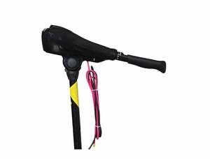 Moteur hors-bord de haute qualité pour petit bateau, type de carburant, état neuf, prix 2026 - Product Image 1
