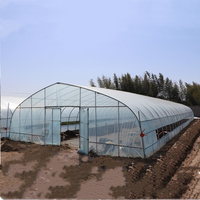 Serre agricole commerciale à tunnel unique en métal 8x30 pour légumes et tomates, à vendre pour ferme