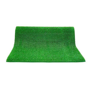 Tapis en caoutchouc pour l'exploitation aurifère Permaidani Tambang Emas Tapis vert Tapis de sluice box Tapis fin pour l'or Dreamturf Tapis d'exploitation aurifère - Product Image 1