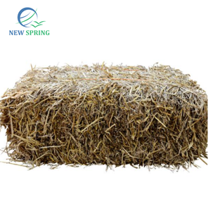 Control de humedad de paja de arroz, productos agrícolas, revestimiento de paja para forraje con soporte de cultivo, paja seca, alta calidad, 100% virgen - Product Image 2